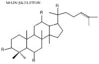 三七总皂苷新品待定说明书