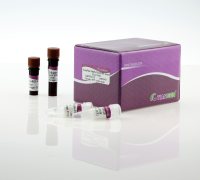 SuperReal荧光定量预混试剂彩色版(SYBR Green)（FP215）