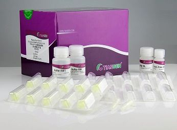 miRcute 增强型miRNA 荧光定量检测试剂盒(SYBR Green)(FP411）