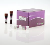 探针法基因分型预混试剂 TIANtough Genotyping qPCR PreMix (Probe)（FP211）