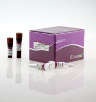 SuperReal PreMix(Probe)(FP206)