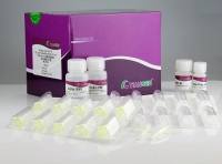 RNAprep Pure多糖多酚植物总RNA提取试剂盒(DP441)