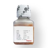 Gibco新生牛血清优惠促销