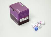 TIANSeq末端修复/dA添加模块(NG302)