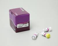 TIANSeq快速连接模块(NG303)