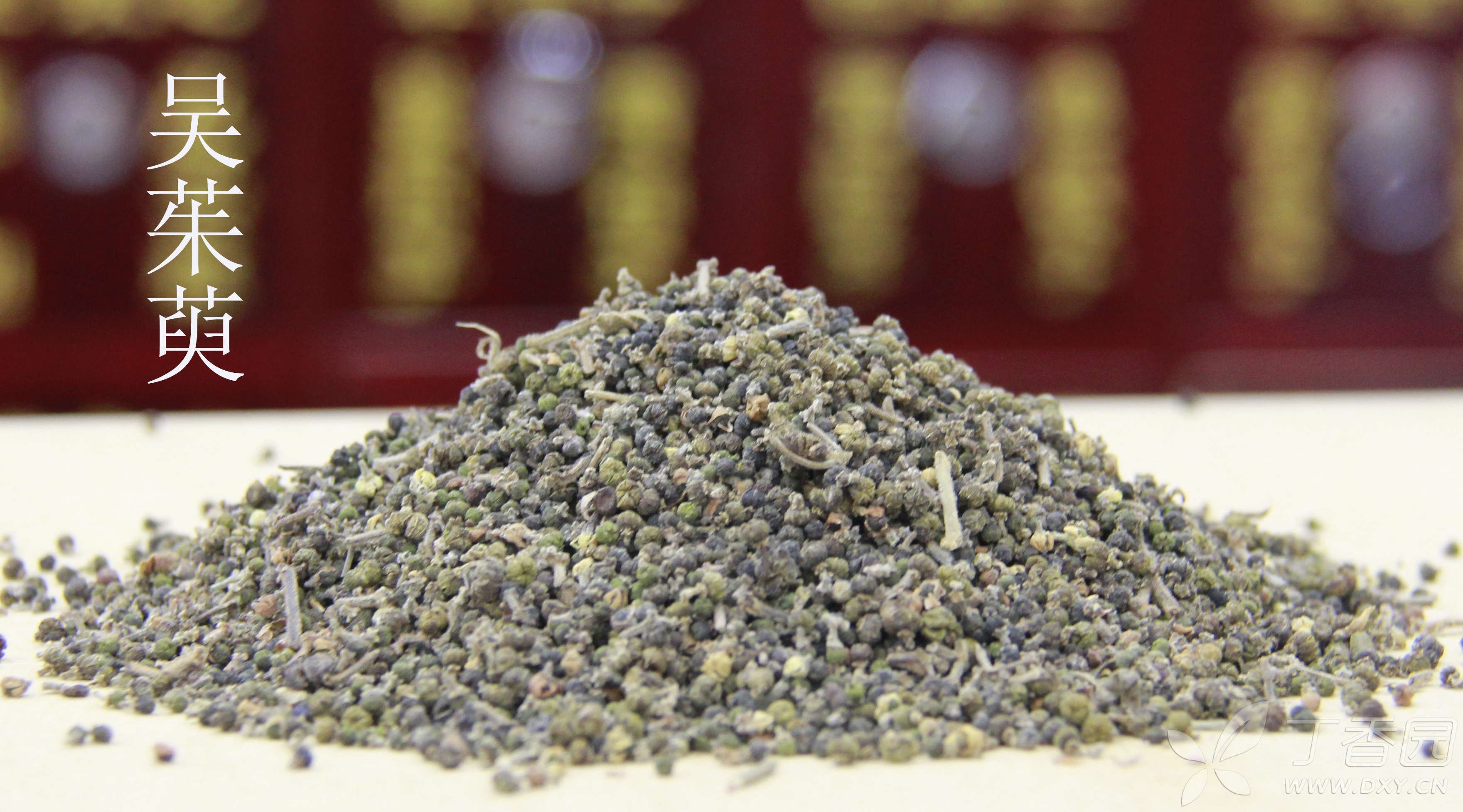 中医(专长)医师资格证书,每日学一味中药--吴茱萸