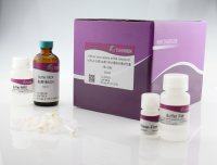 血清/ 血浆 miRNA 提取分离试剂盒（DP503）