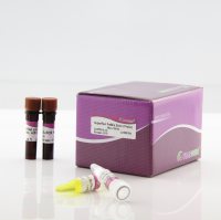 SuperReal荧光定量预混试剂彩色版(Probe)(FP216)