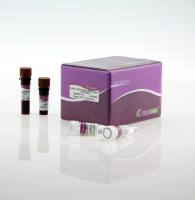 FastFire qPCR Premix(SYBR Green)(FP207)