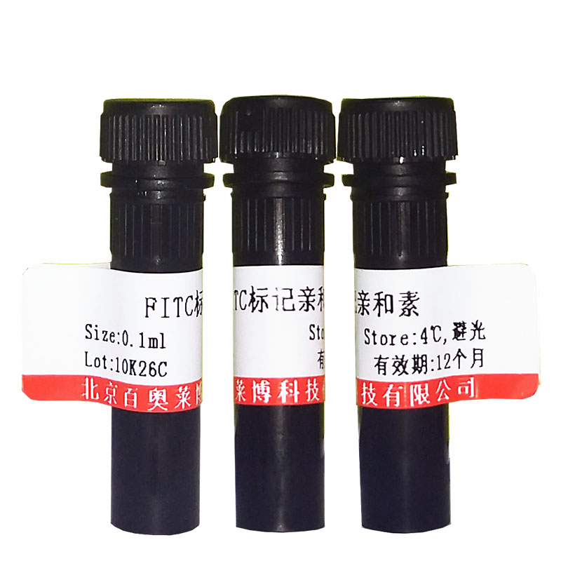 RFT083型超敏BalbECL发光液优惠