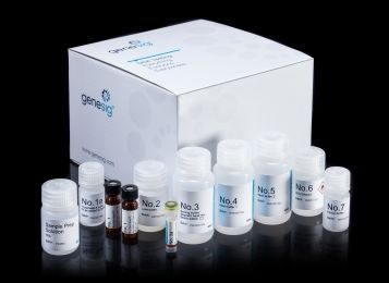 U0126(MEK1/2 抑制剂 )1mg售后服务