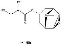 氢溴酸东莨菪碱114-49-8价格