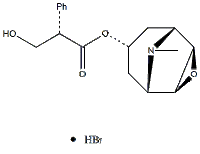 氢溴酸东莨菪碱114-49-8价格