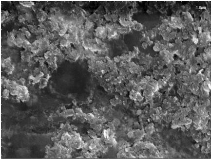 氮化硼纳米片