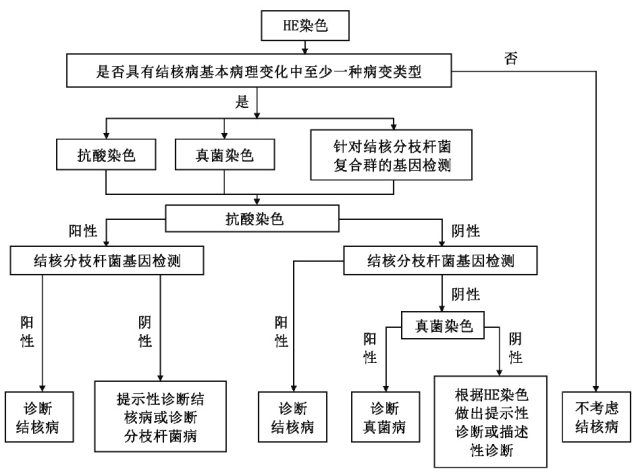 肺结核照片图解图片