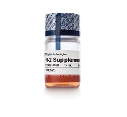 Gibco N-2 Supplement (100X), Liquid，N2添加物，17502-048（17502048）
