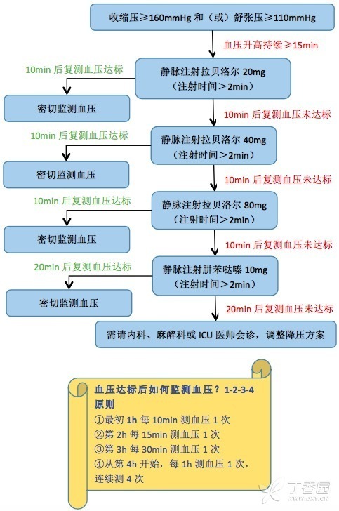 肼苯哒嗪说明书图片