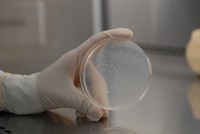 大鼠胆汁 Rat Bile