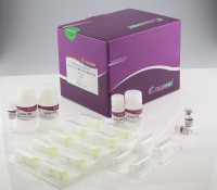 RNAplant plus植物总RNA提取试剂