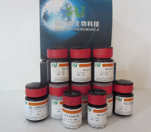 DAPI染色液(5ug/ml,含封片剂