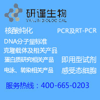 PCR产物纯化回收试剂盒(磁珠法）