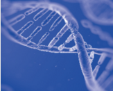 Viral DNA＆RNA Extraction Kit