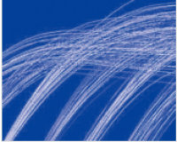 StarScript II SYBR Two-Step qRT-PCR Synthesis Kit