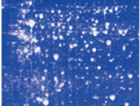 10×Semi-Dry Transfer Buffer