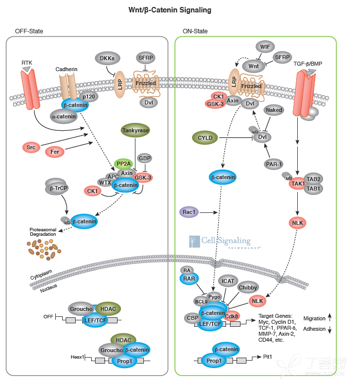 不知道这个可以不