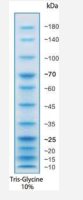 Direct-load™Prestained Protein Marker(10-180 kDa)