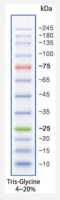Direct-load™Color Prestained Protein Marker(10-245 kDa)