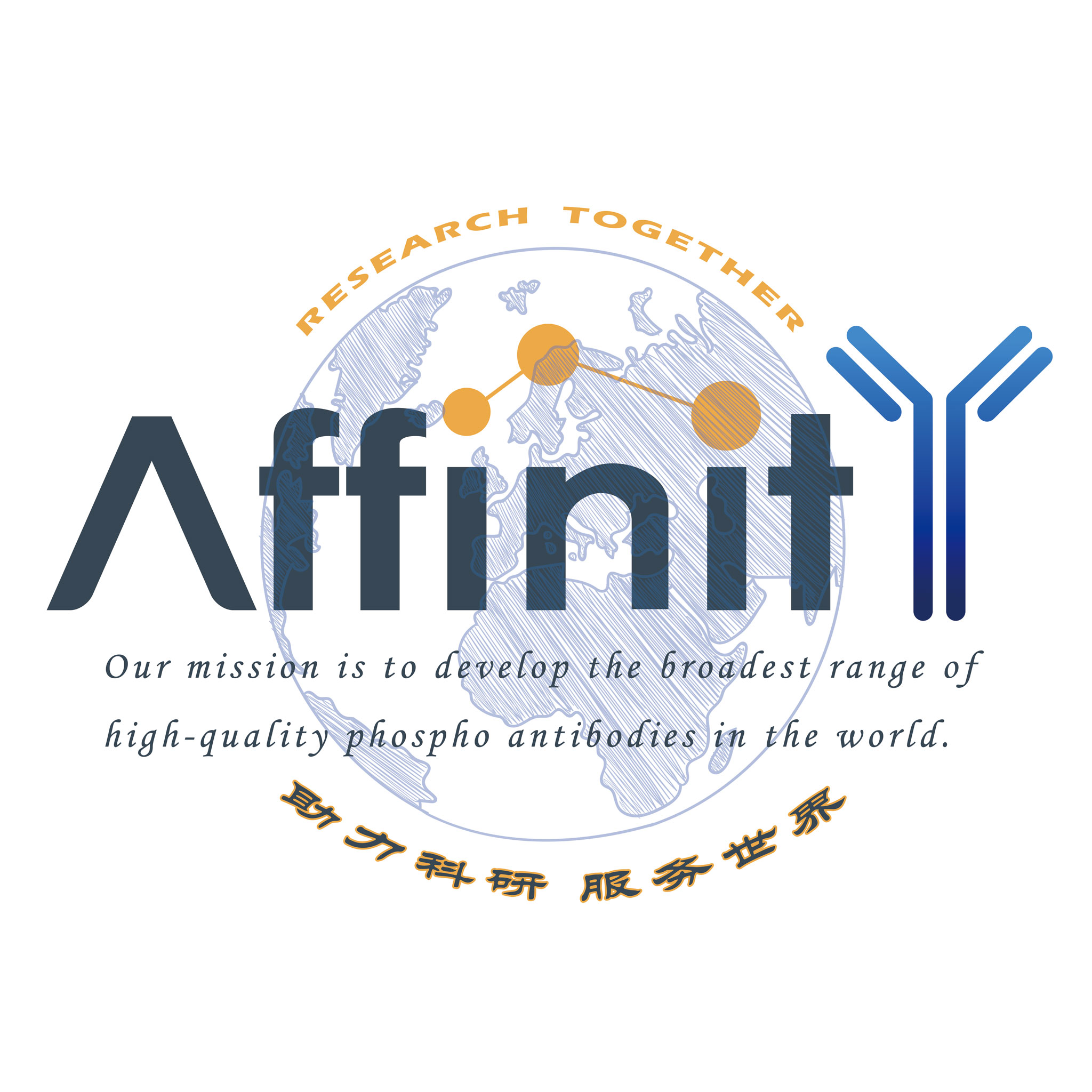 affinity抗體