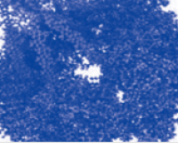 弱阳离子交换介质(CM)