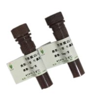  胶原蛋白 II型 牛鼻膜