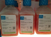 胎牛血清(北美血源)