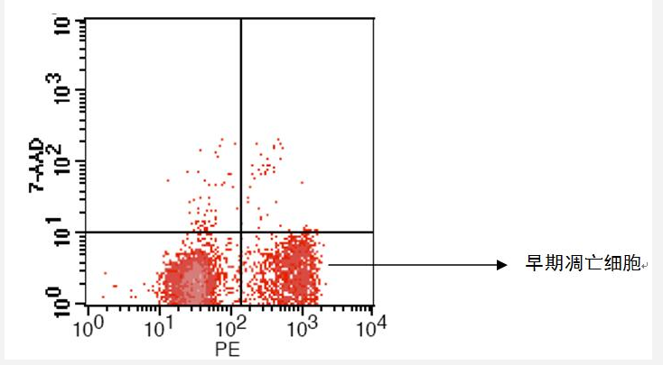 StarGlow Annexin V- PE/7-AAD Apoptosis Detection Kit