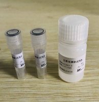 人支原体清除试剂