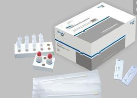CYP1A2试剂盒