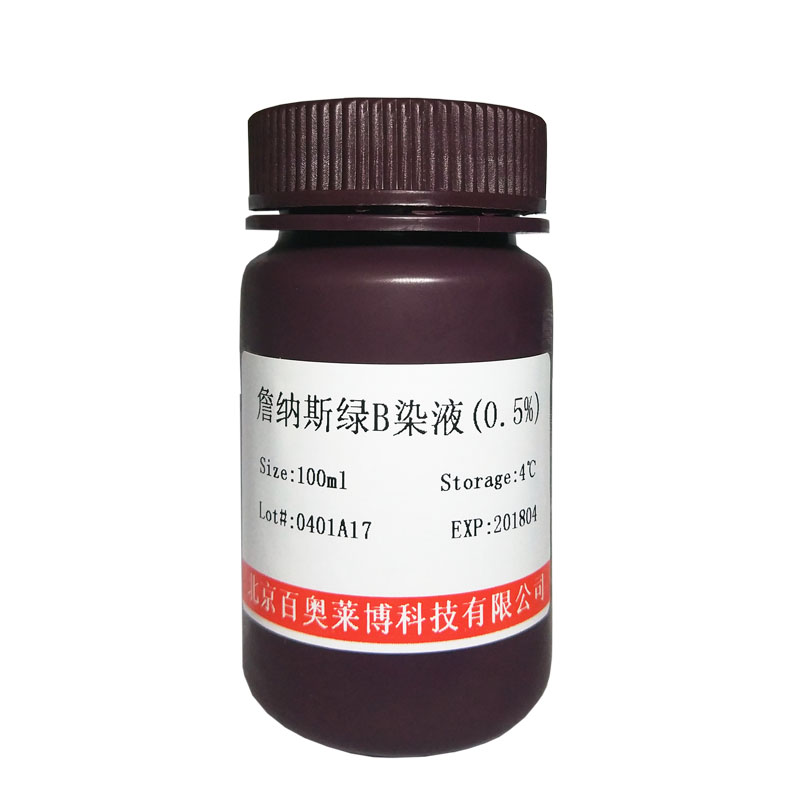 BTN90207型大肠杆菌JM109感受态细胞(国产,进口)