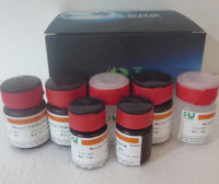 EDTA溶液(0.25mol/L,pH8.0)