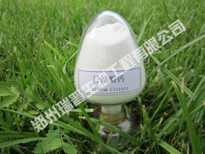 食品级柠檬酸钙 原料 国标 价格 - 郑州瑞普