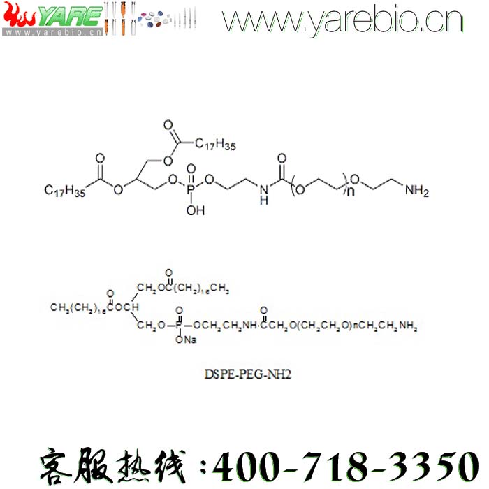 DSPE-PEG-NH2 DSPE-PEG-Amine 磷脂PEG氨基 PEG修饰剂 PEG衍生物