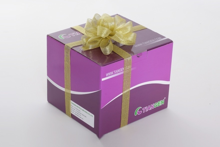 SuperPure Taq DNA Polymerase（ET107）