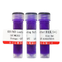 胆酸钠 蛋白质研究