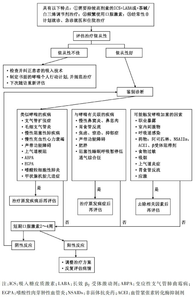 哮喘流程.jpeg