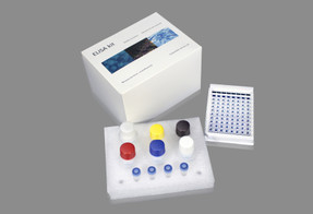 iPLA2试剂盒