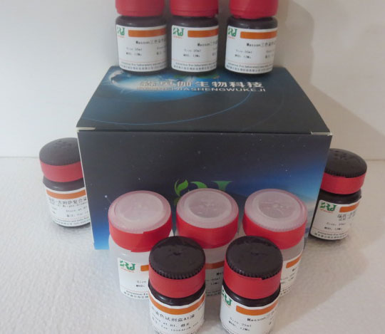  碱性磷酸二酯酶检测试剂盒(PNP比色法)