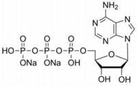 5-腺苷三磷酸二钠盐