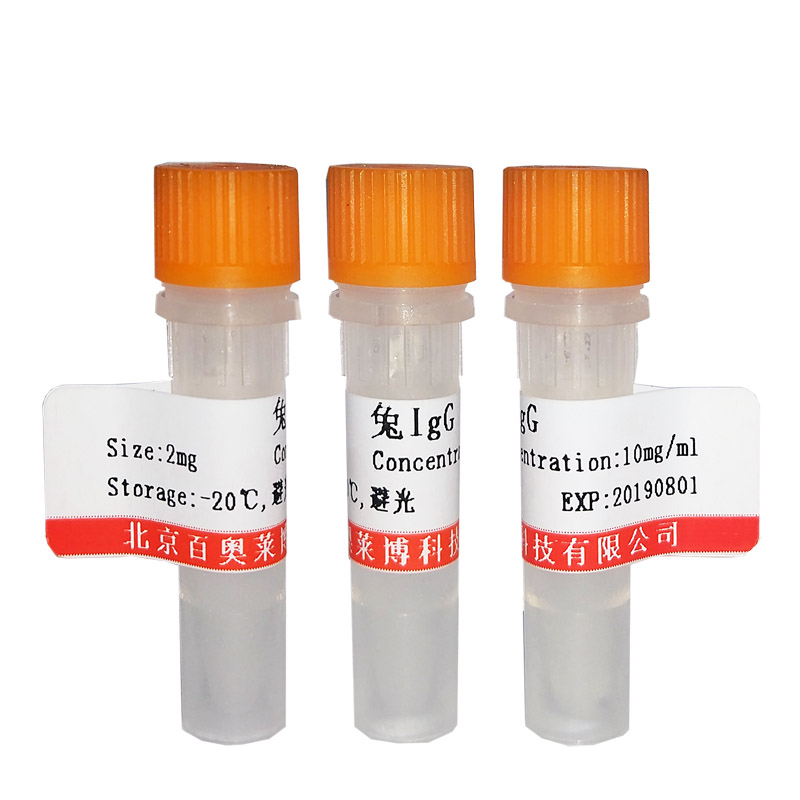脂肪酸结合蛋白5抗体(上皮细胞型)北京价格