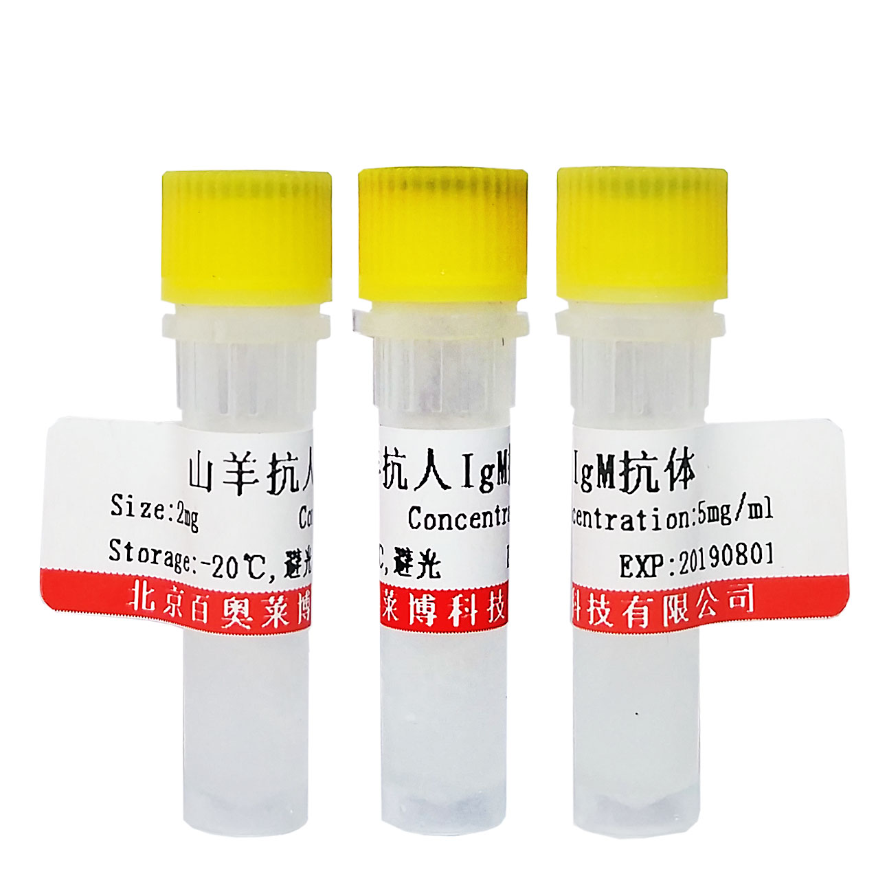 北京现货K24552型RNA结合蛋白16抗体优惠价